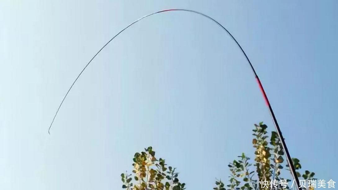 用力过猛|钓鱼时,如何操作才既能上鱼又不伤鱼竿?只要把这3点练熟就行了