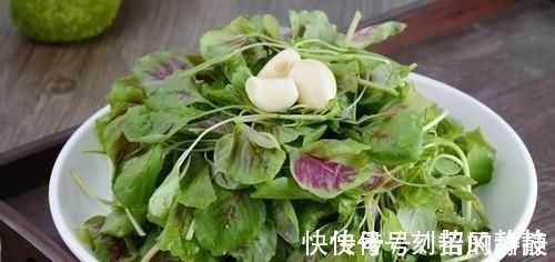 白菜|人到中年,不妨多吃3种食物,滋肝明目、推迟衰老,谁吃谁健康
