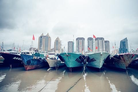 普陀山|舟山有什么地方好玩?到舟山旅游千万不要错过这些景点