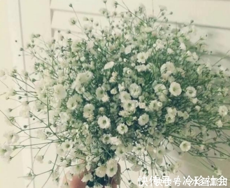 晨兴理#六首“早安”诗词:风动影动心不动,独自沉香待花开