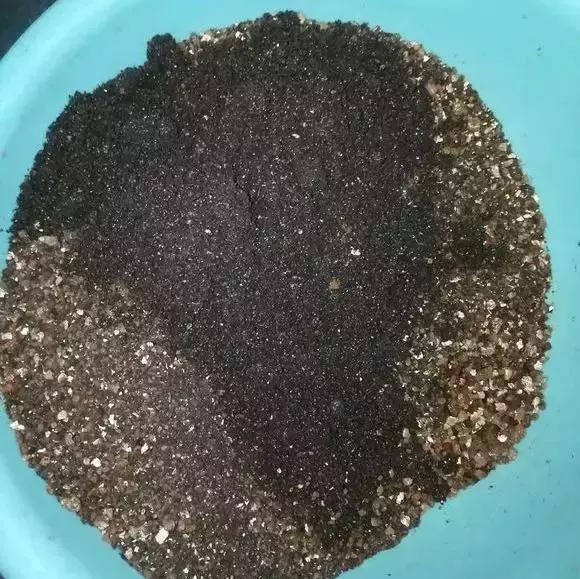 煤渣|什么腐叶土、营养土,比不上“一窝煤”,养花不烂根,易爆盆!