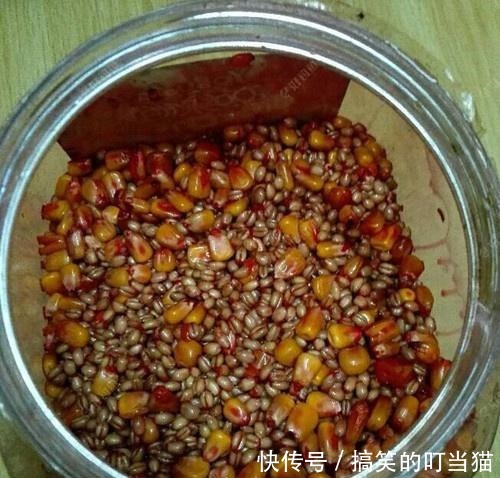 玉米加小麦炮制出来的饵那才叫无敌,这里有详尽制作步骤,别错过!
