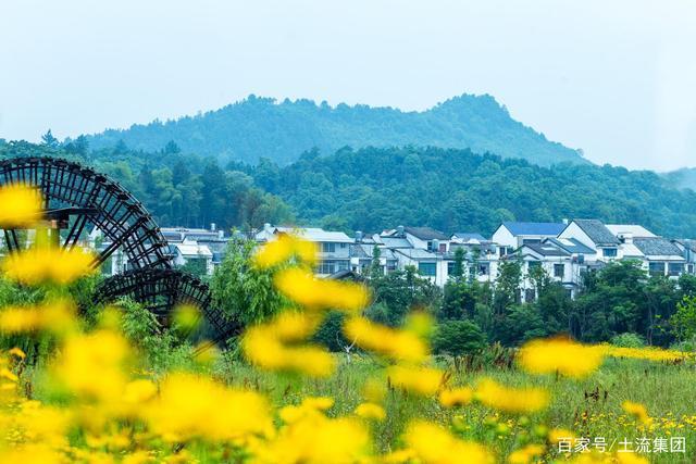 宅基地|申请永久有偿退出耕地和宅基地,你符合这些条件吗去哪里办理