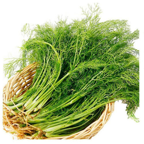 女性|夏天都爱美,女性必备好食物,排毒养颜、补益身体,肌肤细腻