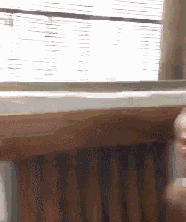 |搞笑GIF：我问女神爱不爱我 结果她发过来一张图