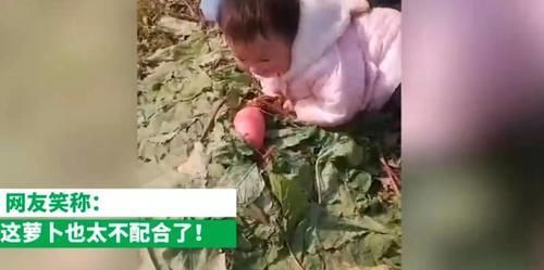 兴趣爱好|萌娃边唱歌边拔萝卜，下一秒摔了个人仰马翻，网友：萝卜太不配合