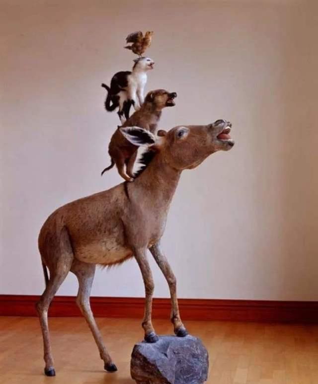 他在墙上粘了根香蕉,卖了90万,网友不懂,专家却说:这是艺术品