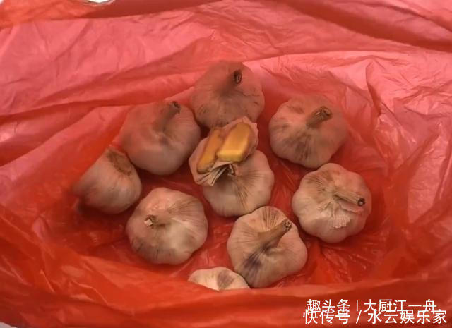 原来保存大蒜这么简单,教你5招保存方法,大蒜放一年不发芽