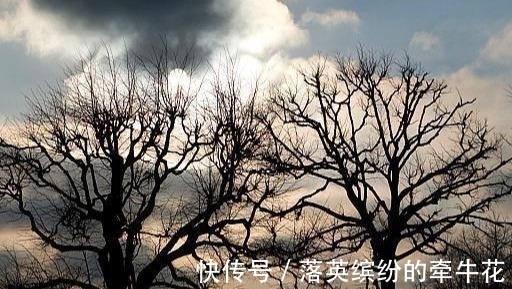 王弗&苏轼最凄美的一首词,全词无一个“悲”字,却悲得荡气回肠