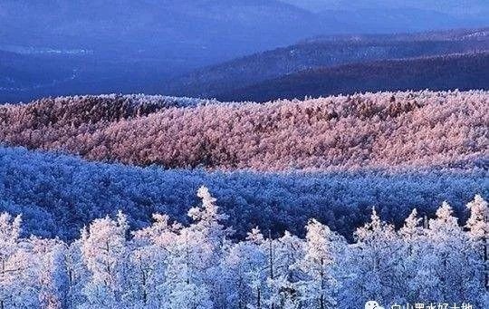 胡里改部|东北历代志:五十四、女真神迹