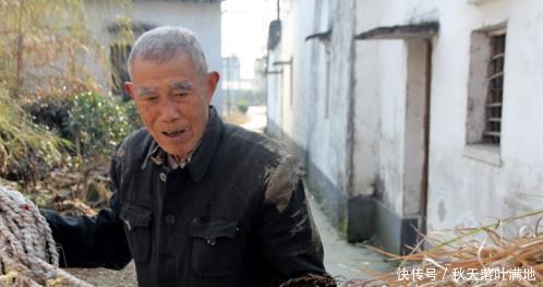 传家宝|农民打算八百万卖出传家宝,有人给他支了一招,结果多赚了一千万!