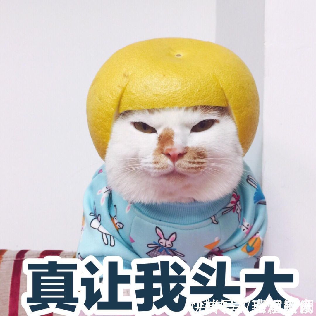 标准|寒假给小吃货买什么?国内首个儿童零食标准,按这个来买就对了