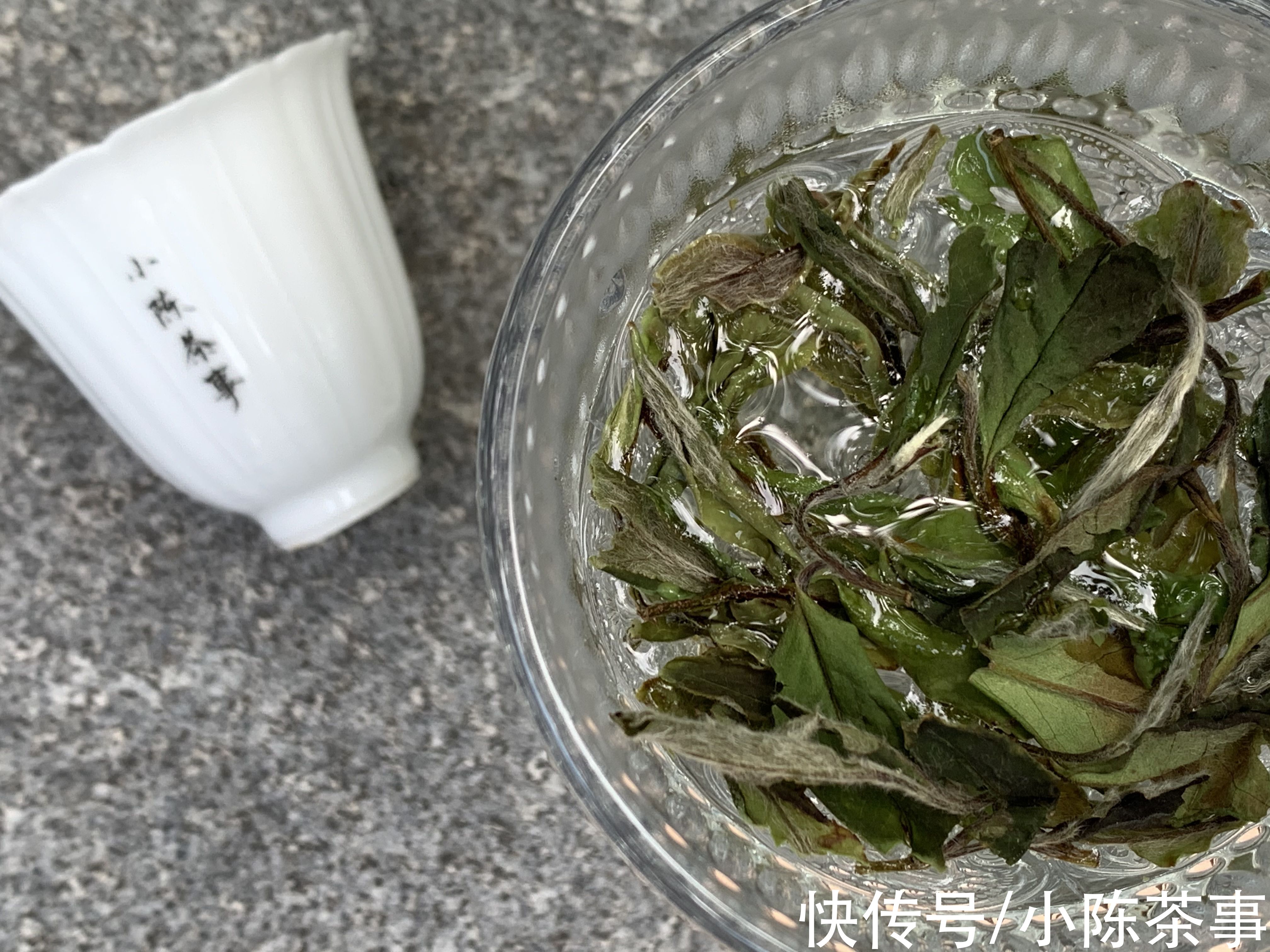 茶汤|白茶适合用什么茶具冲泡？盖碗、玻璃杯，还是紫砂壶？