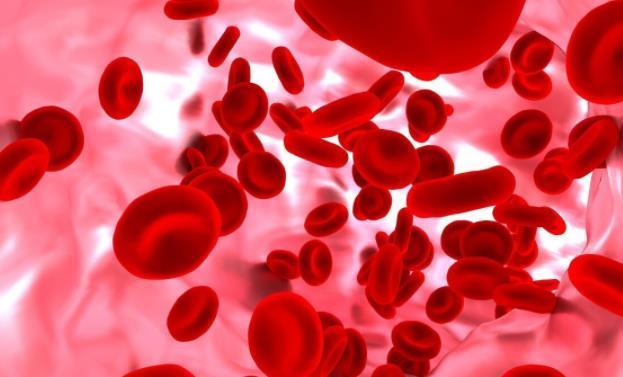 血液粘稠|血液粘稠了会有哪些异常?走好“三步”血液恢复顺畅