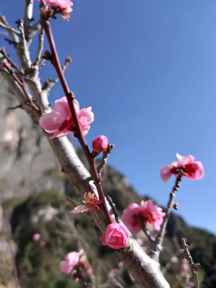 指南村|登顶东川小牯牛山——慈悲殿