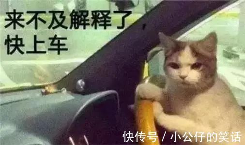 |教你快速找到安全感！｜每日搞笑段子