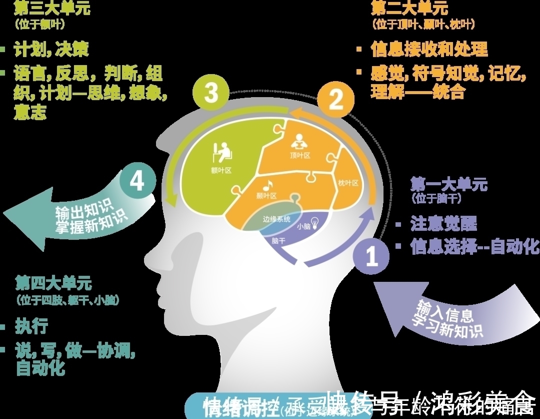 学习能力|教育部规定6岁上学背后的深意，90％的家长都不知道