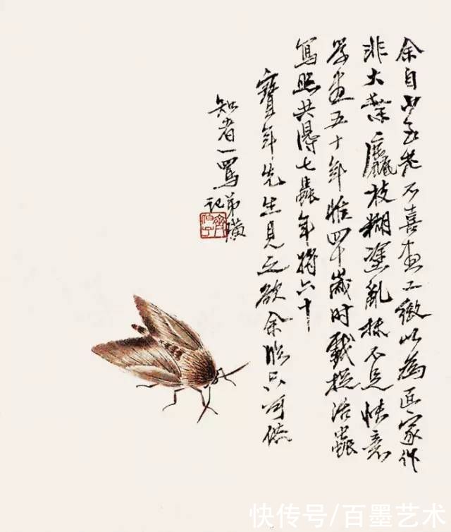 蝴蝶|齐白石草虫图200张,他把草虫画活了
