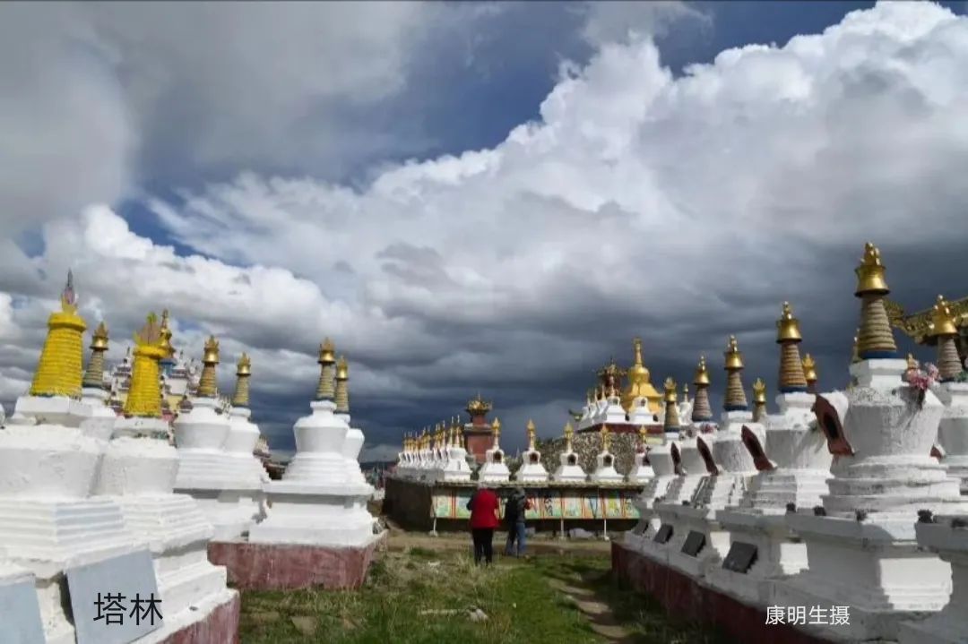 光影|漆寨芳新作《康明生的光影人生》举行首发仪式