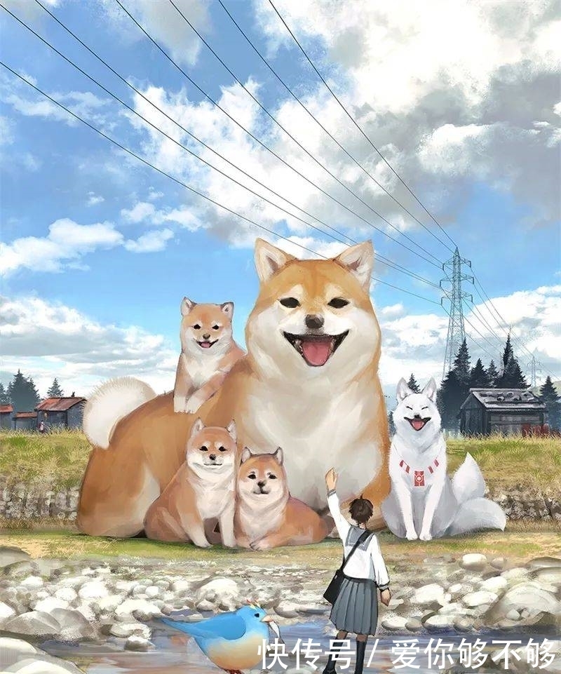 插画|三组各具特色的动物插画,看完很治愈~