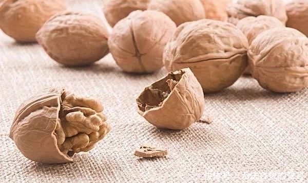 丝瓜络|花盆里加点这个,10年不用换盆,花儿越开越旺!