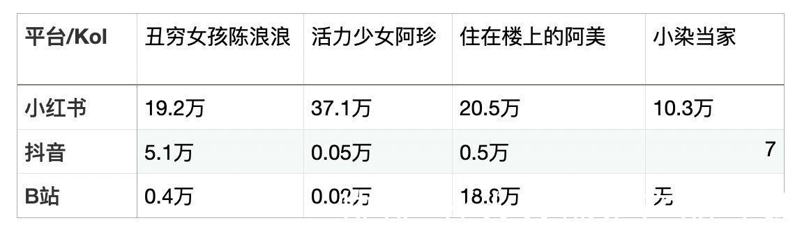 koc|小红书的铠甲即软肋