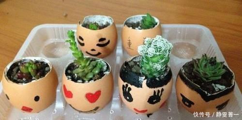 家里几种没用的东西，用来养花，省钱又实用，乐趣十足！