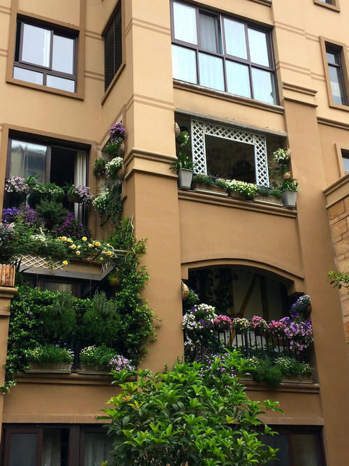 30㎡阳台改造的植物花园，网友直呼：这是我见过最美的阳台花园