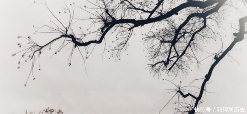 陆游很洒脱的一首诗,把自己跳舞时的情形,描写得活灵活现!