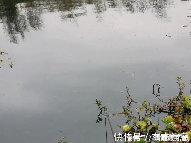 台钓|钓鱼中的“黑话”知多少?能听懂10个以上的是老钓手