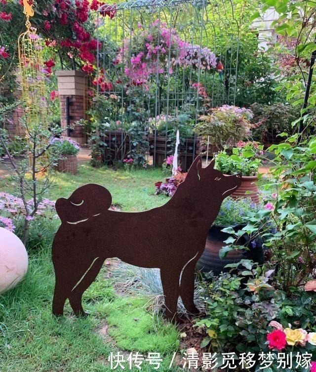 庭院|想有个带院子的房子,看花开叶落一辈子,让生活变成一件浪漫的事