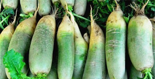 长寿|人到中年想长寿,推荐吃3种食物,提高免疫力,有助身体健康