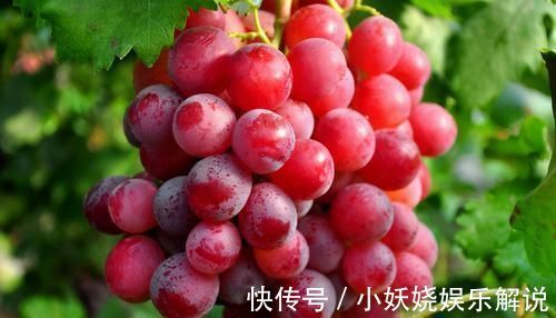 補充|女性不想被同齡人比下去，多吃3種食物，補充雌激素，卵巢更健康