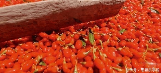 枸杞什么时间吃最好,一天吃多少粒,看看你都吃对了吗?