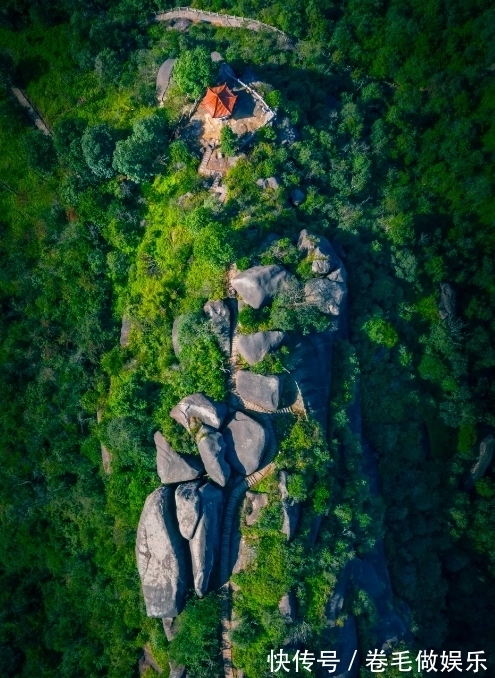 秋色|这几处温州秋日登高必去的山峰，每一寸秋色都很撩人！