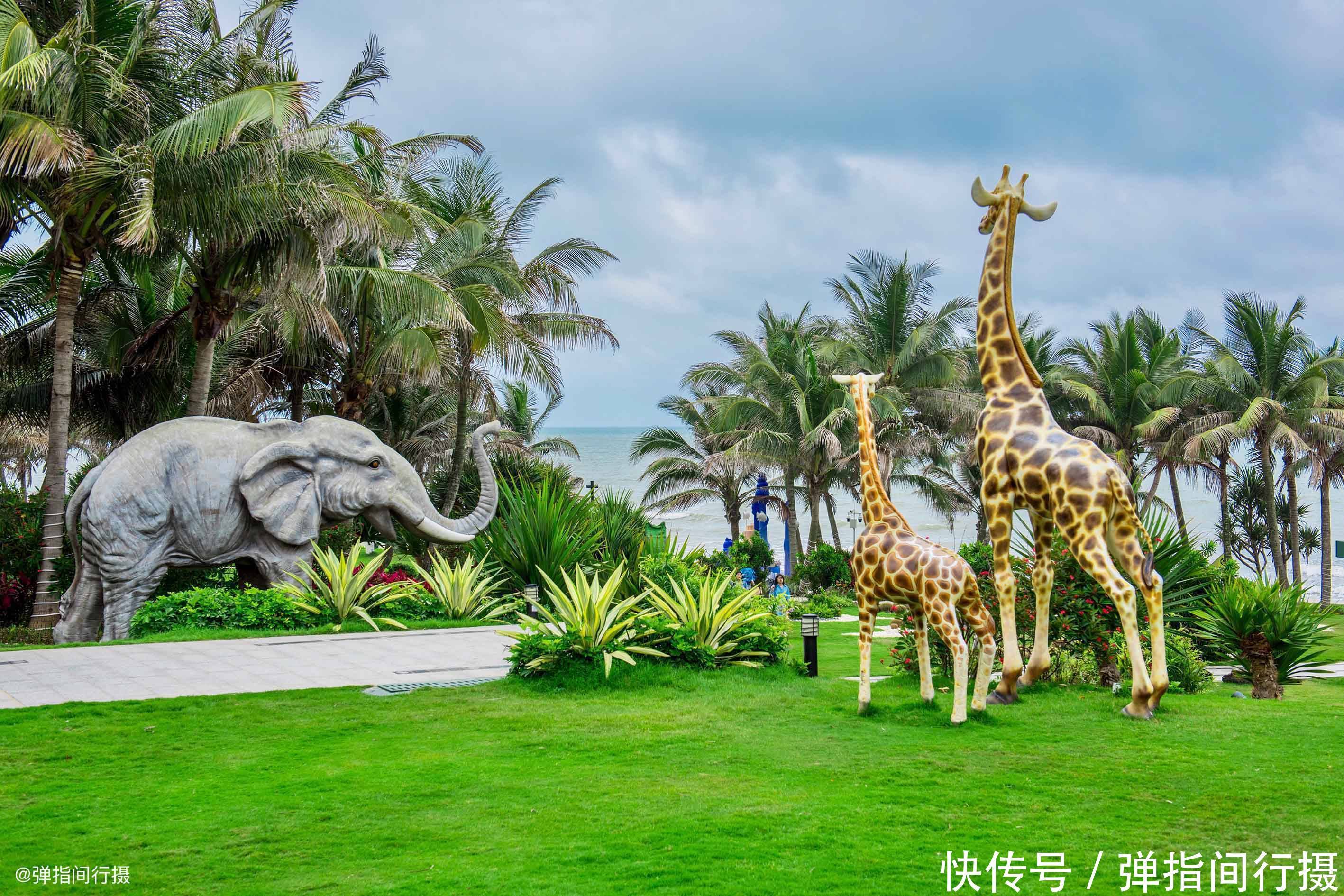 酒店|探索粤西海湾秘境，发现“被忽视”的海洋乐园，夏日度假就去这里