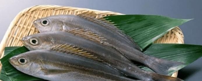 二甲基亚硝胺|怀孕吃鱼好处多多,但这四种鱼类最好别吃,对胎宝宝有害无益