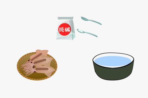 鱿鱼、章鱼、墨鱼傻傻分不清楚？看完这篇全明白了！