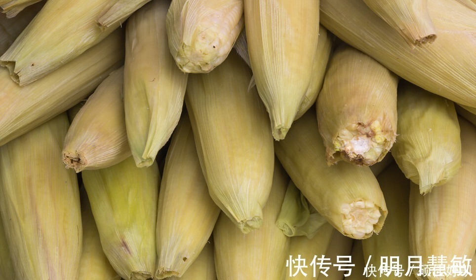 冷冻|保存玉米,直接冷冻还是煮熟再冻教你正确做法,玉米新鲜又香甜