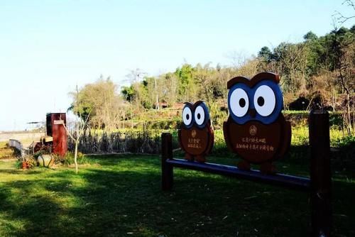 老年|自然丨仰天窝阳光健身步道升级！山顶湖泊等你来打卡~