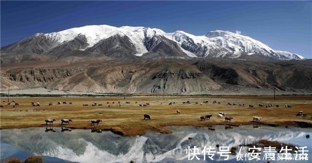 西王母$“昆仑女神”杨丽:独守新藏线20年,路过车辆都会向她鸣笛致敬