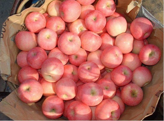 健康|经常吃苹果人注意，苹果怎么吃才健康多数人都没吃对