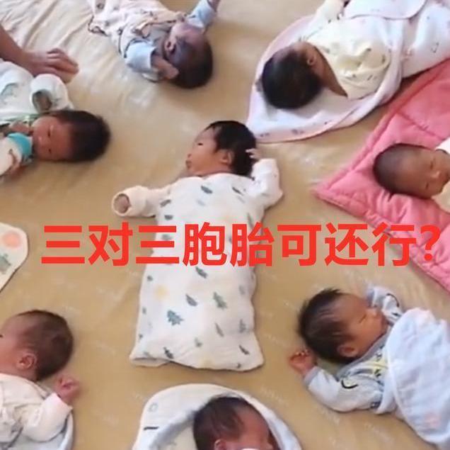 劳模|“全网劳模姥姥”三胞胎女儿各生了三胞胎,网友开个托儿所吧