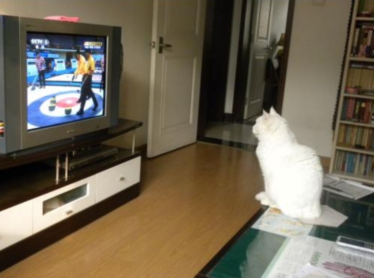 印度姑娘!印度姑娘在中国同学家中做客,坦言太穷了,连大彩电都没有