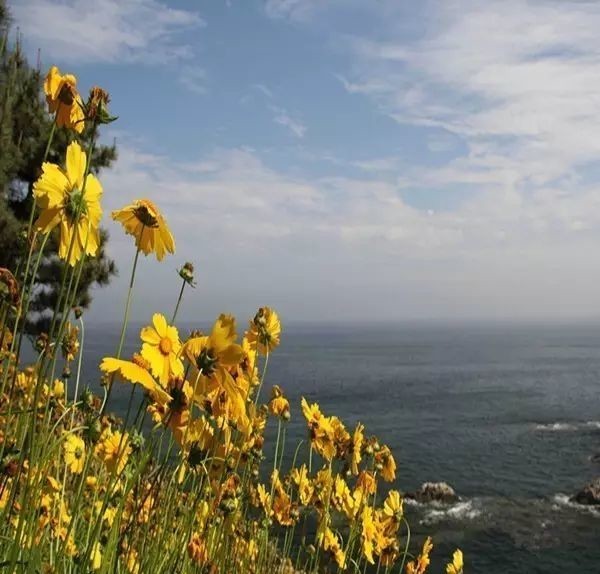 曾国藩诗10首：倚天照海花无数，流水高山心自知