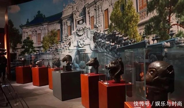 回家|马首“回家”的背后,这些事你知道吗