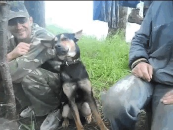 |GIF搞笑趣图:这就是俗话说进去容易出来难!保大还是保小?