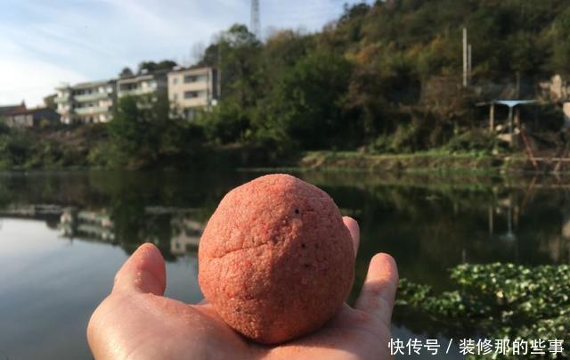 玉米|螺鲤加上918，夏季钓鲤鱼就这样开饵，可别再求配方了