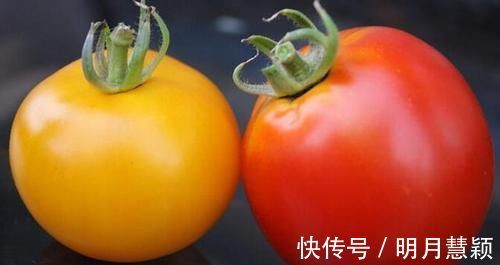 血脂异常|血脂高了别发愁,常吃这6种食物,可以疏通血管,远离“血栓”