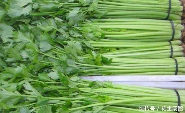 養(yǎng)血|芹菜是天然的降壓”小能手“,還有效養(yǎng)血補(bǔ)虛,但此類人不適合吃